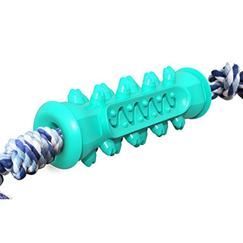 Greethga Hundezahnbürstenspielzeug, Knochenform, Kauspielzeug für aggressive Kauer, Zahnreinigung, Kauspielzeug, Blau Greethga Hundezahnbürstenspielzeug, Knochenform, Kauspielzeug für aggressive Kauer, Zahnreinigung, Kauspielzeug, Blau von Greethga