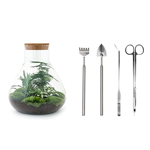 Flaschengarten • Sam XL • Ökosystem mit Pflanzen im Glas • ↑ 35 cm - DIY - Terrarium Komplett Set - Pflanzenterrarium - urbanjngl | Terrarium + Rake + Shovel + Tweezer + Scissors von Grehge