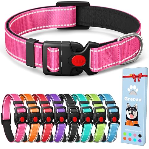 Grepad Polyester-Hundehalsband für Welpen, kleine, mittelgroße und extra große Rassen, Hunde, weiblich, männlich, langlebig, bequem, gepolstert, einfach, breit, Barbie-Rosa, L Grepad Polyester-Hundehalsband für Welpen, kleine, mittelgroße und extra große Rassen, Hunde, weiblich, männlich, langlebig, bequem, gepolstert, einfach, breit, Barbie-Rosa, L von Grepad