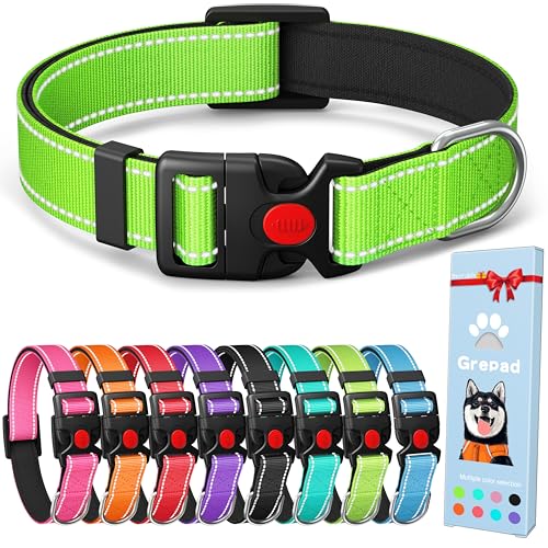 Grepad Polyester-Hundehalsband für große Hunde, weiblich, männlich, langlebig, bequem, gepolstert, einfache Hundehalsbänder für Welpen, kleine und mittelgroße Rassen, Traubengrün, Größe L Grepad Polyester-Hundehalsband für große Hunde, weiblich, männlich, langlebig, bequem, gepolstert, einfache Hundehalsbänder für Welpen, kleine und mittelgroße Rassen, Traubengrün, Größe L von Grepad