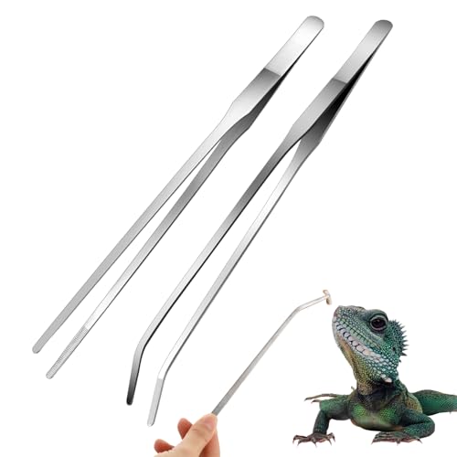Grevosea 2 Stück Aquarium Pinzette 27 cm Edelstahl, Lange Futterzange Edelstahl mit Gummispitze Gerade und Gebogen Pinzetteterrarium Werkzeug, Futterwerkzeug für Aquarium-Silber von Grevosea
