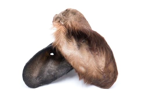 Grobys Futterkiste Kälberohren mit Fell getrocknet ideal für kleinere Hunde, Verpackungseinheit Stück:10 Stück Grobys Futterkiste Kälberohren mit Fell getrocknet ideal für kleinere Hunde, Verpackungseinheit Stück:10 Stück von Grobys Futterkiste
