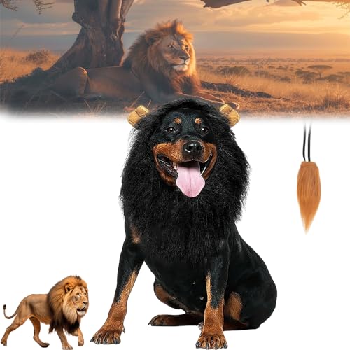 Lion Mane for Dog,Lion Mane for Dog Costume,Realistic Lion Mane Wig,Lion Mane for Dog with A Lions Tail,Lion Wig for Medium to Large Sized Dogs Lion Mane Wig (Black, L) von Grolomo