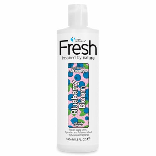 Groom Professional Fresh Blueberry Bloom Hundeshampoo - Hundeshampoo Gegen Geruch - Tiefenreinigendes Shampoo - Pflegende Formel für Juckende Haut - Reinigt und Erneuert das Fell, 350ml von Groom Professional
