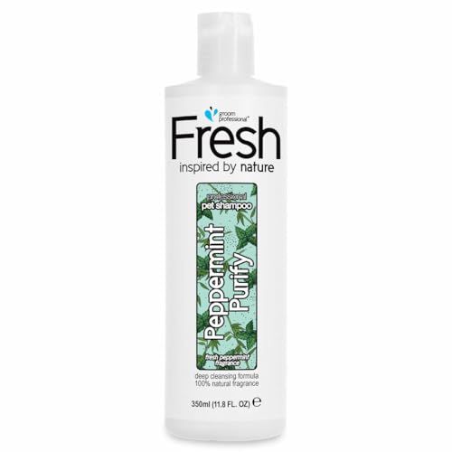 Groom Professional Fresh Peppermint Purify Hundeshampoo Sensitiv - Natürliches Hundeshampoo für Hunde - Verleiht dem Fell Pflege und Glanz - Reinigt und Spendet Feuchtigkeit, 350ml von Groom Professional