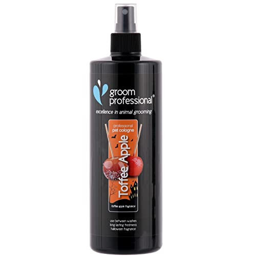 GROOM PROFESSIONAL Halloween Toffee Apple Hundeparfüm - Hundeparfüm-Spray - Frisches Duftspray für Hunde Gegen Geruch - Duft von gezuckerten Äpfeln und Toffee - Langanhaltender Duft, 500ml GROOM PROFESSIONAL Halloween Toffee Apple Hundeparfüm - Hundeparfüm-Spray - Frisches Duftspray für Hunde Gegen Geruch - Duft von gezuckerten Äpfeln und Toffee - Langanhaltender Duft, 500ml von GROOM PROFESSIONAL