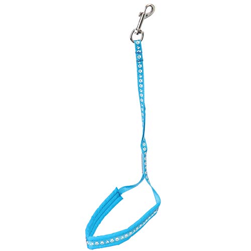 Groom Professional Allon Halteschlaufe Gepolstert - Hundepflege-Leine mit Polsterung - Polsterung im Nackenbereich für mehr Komfort - Pfotenaufdruck - 45cm, Cyanblau von Groom Professional