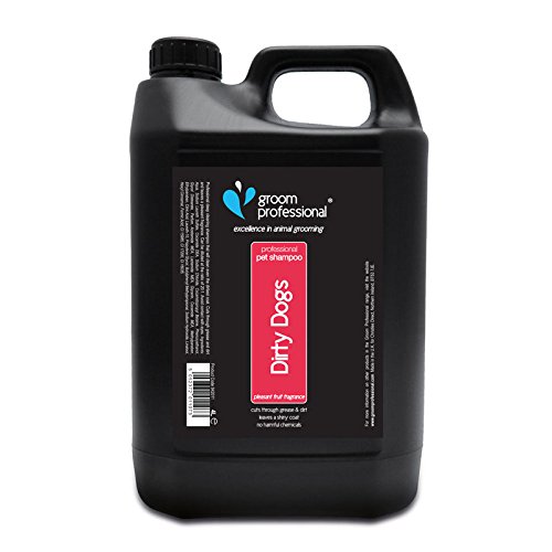 Groom Professional Dirty Dogs Hundeshampoo - Hundeshampoo Gegen Geruch - Tiefenreinigendes Shampoo für Hunde - Für Schmutziges & Fettiges Fell - Hinterlässt das Fell Weich & Sauber, 4 Liter von Groom Professional