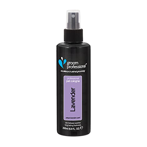 Groom Professional Lavender Haustier Parfüm, Exzellenz in Sachen Haustierpflege, Hundeparfüm mit entspannendem Lavendelduft, ideal für die Anwendung zwischen den Wäschen, Made in UK, 200ml von GROOM PROFESSIONAL