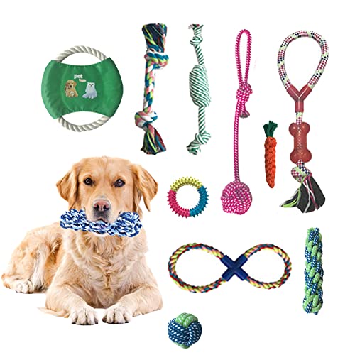GROWTAIL 10 x Hundespielzeug für aggressive Kauer, Hundespielzeug für kleine Hunde, langlebiges Welpen-Zahnen von Growtail