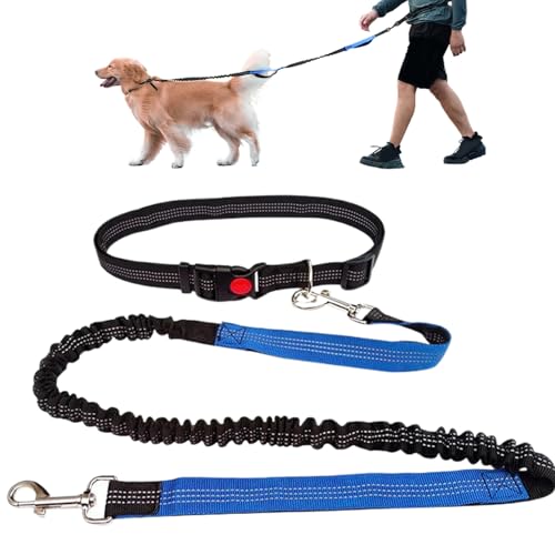 Einziehbare Hundeleine, Taille-Leine für Hunde Laufen 49-71 Retraktierbare Hände Freie Hundeleine mit Legierungsclip Reflektierende Polyester-Hundeleine zum Gehen, Joggen, Laufen, Training Einziehbare Hundeleine, Taille-Leine für Hunde Laufen 49-71 Retraktierbare Hände Freie Hundeleine mit Legierungsclip Reflektierende Polyester-Hundeleine zum Gehen, Joggen, Laufen, Training von Grtheenumb