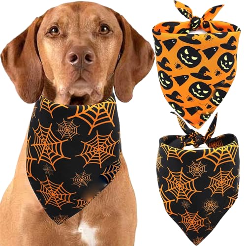 Hundebandana, 2pcs Halloween Hundebandanas, Kürbis und Spinnennetz -Labber Dog Bandana, Polyester Neckerchief Dreieck Reversible Haustier Schal für Hunde Halloween Dekor, Halloween Hund Bandan Hundebandana, 2pcs Halloween Hundebandanas, Kürbis und Spinnennetz -Labber Dog Bandana, Polyester Neckerchief Dreieck Reversible Haustier Schal für Hunde Halloween Dekor, Halloween Hund Bandan von Grtheenumb