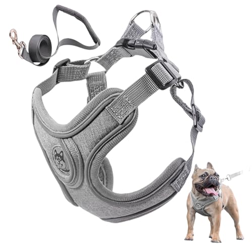 Hundeweste, Hundekabelbaum mit Leinen -Set, Keine Pull -Hundeweste mit Leinen Polyester Verstellbarer Hundehalsbänder Gurte gepolstertes Welpengurt für kleine mittelgroße Hund, Welpenkabelbaum Hundeweste, Hundekabelbaum mit Leinen -Set, Keine Pull -Hundeweste mit Leinen Polyester Verstellbarer Hundehalsbänder Gurte gepolstertes Welpengurt für kleine mittelgroße Hund, Welpenkabelbaum von Grtheenumb