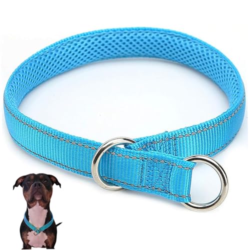 Slip -Kragen für Hunde, Choke -Kragen für Hunde, 24 -Zoll -Reflexionsrohr für Hunde, weicher Nylonhund -Schlupfkragen mit Metallschnalle, tragbare Hundekettenkragen Slip -Kragen für Hunde, Choke -Kragen für Hunde, 24 -Zoll -Reflexionsrohr für Hunde, weicher Nylonhund -Schlupfkragen mit Metallschnalle, tragbare Hundekettenkragen von Grtheenumb