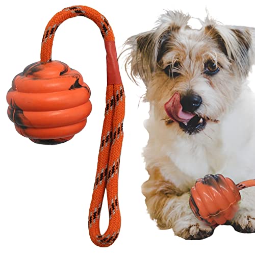 Gruwkue Hundetrainingsball an einem Seil, Hundetrainingsball auf einem Seil Happy Playtime, Interaktives Kauseil-Ballspielzeug, waschbares, langlebiges Übungs- und Belohnungswerkzeug. Glückliche von Gruwkue