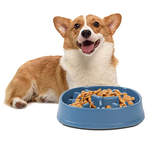 Gruwkue Slow Feeding Hundenapf,Hundefutternapf Langsamer Futternapf | Gesunde Essgewohnheiten, reduzieren Hunde vor übermäßigem Essen, verbessern die Verdauung von Haustieren von Gruwkue