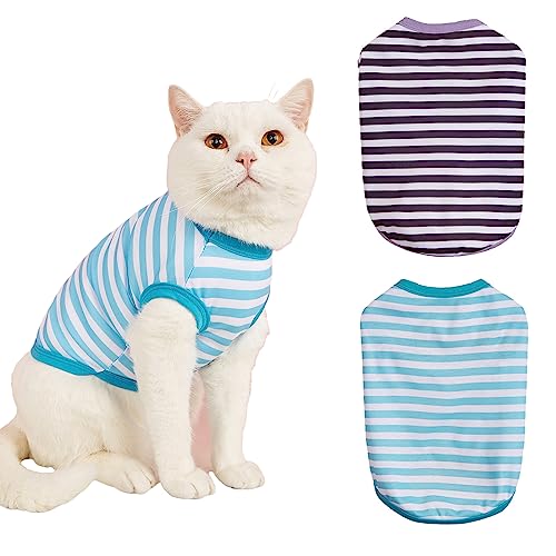 2 Stück Katze Erholung Anzug Kätzchen Erholung Anzug E-Halsband für Katzen und Hunde Bauch Haut Anti lecken Pyjama Anzug (M) von GsLxx