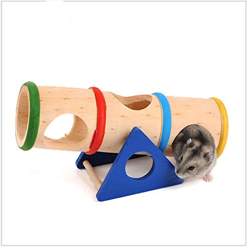 Gshy Bunter Hamstertunnel Grabzylinder Wippe Regenbogen-Trinkgeld Eimer für Kleintier Backenzahnspielzeug für Eichhörnchen Meerschweinchen von Gshy