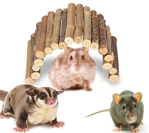 Gshy Hölzerne Hamsterbrücke Leiter Fechten für Kleintiere Käfig Versteck für Papagei und Maus Spielzeugtunnel kauen für Hamster, Kaninchen 10x22cm von Gshy