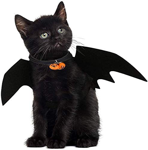 Gshy Kostüme für Haustiere Fledermausflügel mit Glocke Halloweenkostüm Hund Katze Cosplay Kleidung (M) von Gshy
