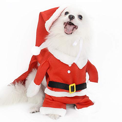 Gshy Niedliche Weihnachtsmann-Form, Weihnachtskleidung, Weihnachtsjacke, Jacke mit Kapuze, für Hunde, Katzen, Festival, Dekoration, Cosplay (32 cm) von Gshy