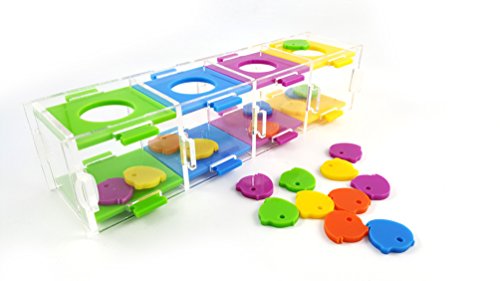 Gshy Spielzeuge für Vögel Farbseparation Münzkassette Buntes Papagei-Puzzle-Spielzeug Interaktives Spiel für Papageien, Vögel, Sittiche von Gshy