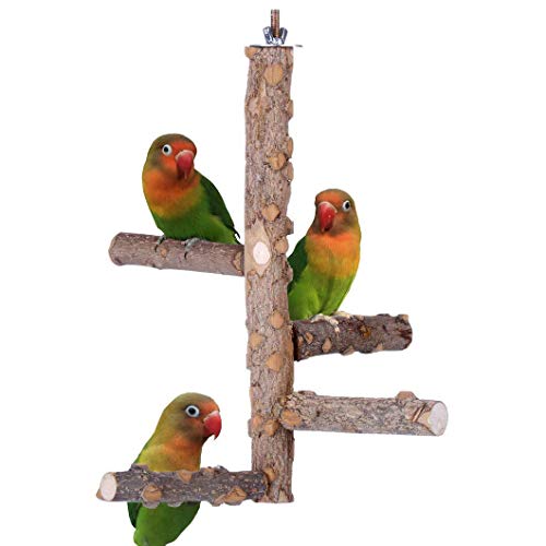Gshy Waldpapagei Vogel Barsch Unterstützung für Naturholzplattformen Hängende Spielzeugzweige Vogel Papagei von Gshy