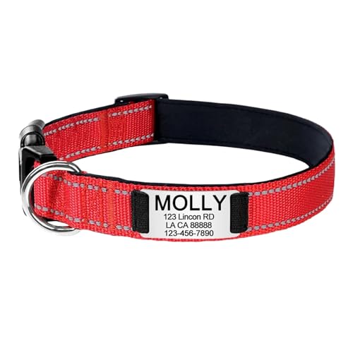 Haustierhalsbänder Gravierte Namens-ID-Tag Reflektierendes Hundehalsband Benutzerdefiniertes Nylon Personalisiert(Red 2,L 34-56cm) von GsvUbd