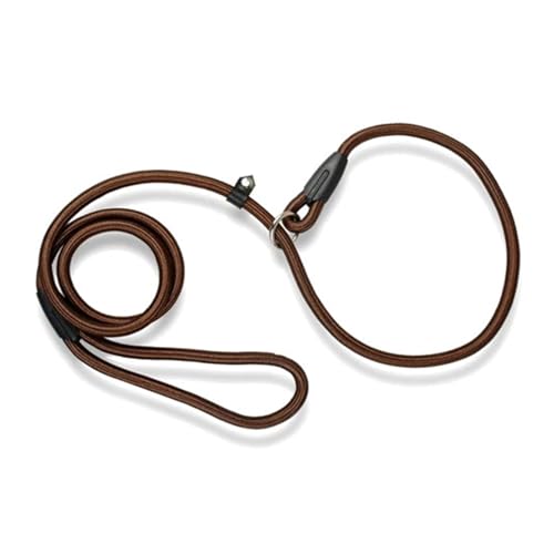 Haustierhalsbänder Nylon-Hundeleine, verstellbare Trainingsleine in P-Form(Blue 2,S) von GsvUbd