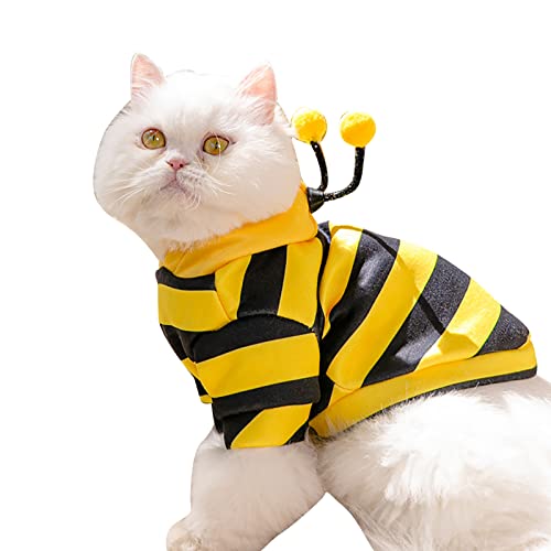 Katze entzückendes Kostüm, stilvolle süße atmungsaktive Katze Hoodies Cute Frog Cosplay Kleidung Hoodies Lustiges Kostüm für Kätzchen Welpen (Classic Bee Costume M (8.8-12.1lb)) von Gsycle