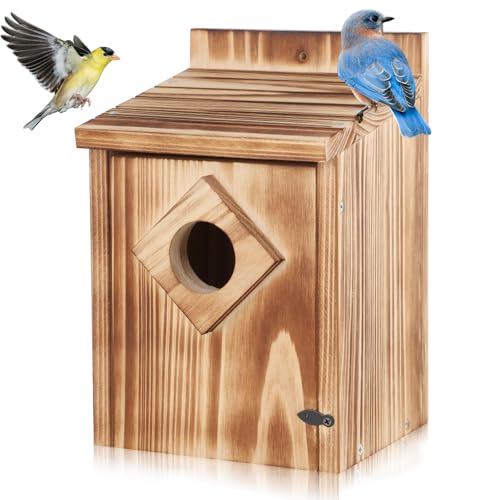 Gtongoko Vogelhäuser aus Holz für draußen Gtongoko Vogelhäuser aus Holz für draußen von Gtongoko