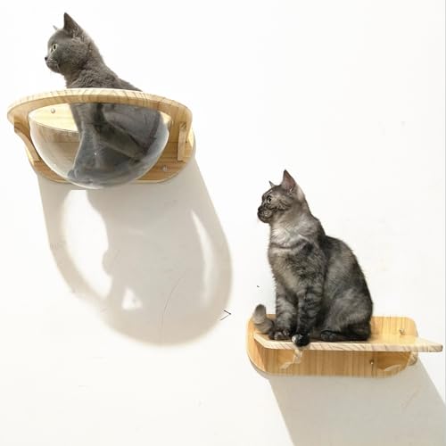 Gtzly Katzen Kletterwand Set, Wandmontiertes Katzenkletter-Set mit Katzen-Wandregalen, Sitzstangen, Raumkapsel, Sprungbrett, 2/4 StüCk Holz-KatzenmöBel for den Innenbereich for Spielen (Color : Econo Gtzly Katzen Kletterwand Set, Wandmontiertes Katzenkletter-Set mit Katzen-Wandregalen, Sitzstangen, Raumkapsel, Sprungbrett, 2/4 StüCk Holz-KatzenmöBel for den Innenbereich for Spielen (Color : Econo von Gtzly