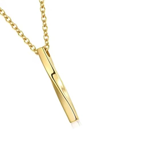 Elegante Haustier-Asche-Halskette mit tollem Siegel, Urnenschmuck für Gedenkstätten, Ihre Familie und Medaillon, Asche-Halter, Gedenk-Halskette von Guaber