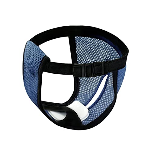 Guangcailun Physiologische Hosen Gute Elastizität Haustierwindel Hundehöschen Shorts Slips, Blau/L Guangcailun Physiologische Hosen Gute Elastizität Haustierwindel Hundehöschen Shorts Slips, Blau/L von Guangcailun