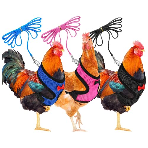 Hühner-Geschirr mit Leine, 3 Stück Hühnergeschirr Verstellbares, Atmungsaktiv, für Ente, Gans, Henne, für Lauftraining, Größe M von Guangyu