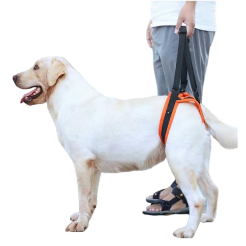 Hundehebegeschirr, Hundestützgeschirr für die Hinterbeine, weiche Hundestützschlaufe, Unterstützung Hilft Hunden mit Schwachen Hinterbeinen, Fortgeschrittenem Alter, Verletzungen, Behinderungen L Hundehebegeschirr, Hundestützgeschirr für die Hinterbeine, weiche Hundestützschlaufe, Unterstützung Hilft Hunden mit Schwachen Hinterbeinen, Fortgeschrittenem Alter, Verletzungen, Behinderungen L von Guangyu