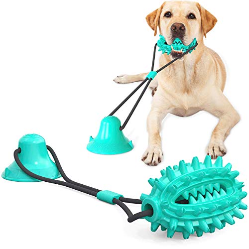 Kauspielzeug für Hunde mit Saugnapf für aggressive Kauer, Welpentraining, Leckerlis, Zahnbürste, Zahnreinigungsseil für kleine und mittelgroße Hunde (blauer Kaktus) von Guardians