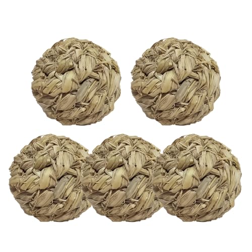 Gudalea 5 Stück Timothy Gras Kauspielzeug, 8cm Naturgetreue Haustierbälle für Kaninchen, für Meerschweinchen, Hasen, Chinchilla, Hamster und Rennmäuse - Kleintier Spielzeug und Zubehör Gudalea 5 Stück Timothy Gras Kauspielzeug, 8cm Naturgetreue Haustierbälle für Kaninchen, für Meerschweinchen, Hasen, Chinchilla, Hamster und Rennmäuse - Kleintier Spielzeug und Zubehör von Gudalea