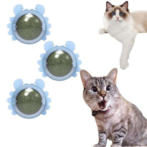 Plothuge Catnip Wall Ball - Catnip Balls That Stick on Wall - Self-Adhesive Catnip Teeth Cleaning Edible Ball - Teeth Cleaning Dental Cat Toys - Catnip Roller Ball Rotate Wall Mounted Ball (3*blue) von Guegalls