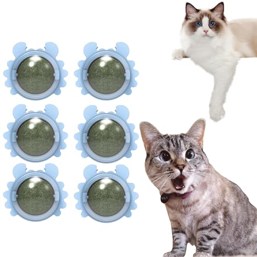 Plothuge Catnip Wall Ball - Catnip Balls That Stick on Wall - Self-Adhesive Catnip Teeth Cleaning Edible Ball - Teeth Cleaning Dental Cat Toys - Catnip Roller Ball Rotate Wall Mounted Ball (6*blue) von Guegalls