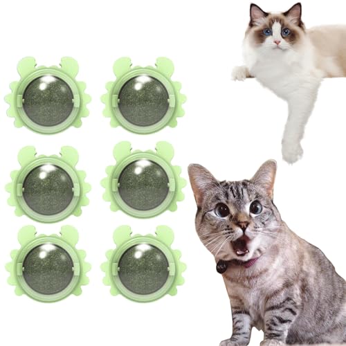 Plothuge Catnip Wall Ball - Catnip Balls That Stick on Wall - Self-Adhesive Catnip Teeth Cleaning Edible Ball - Teeth Cleaning Dental Cat Toys - Catnip Roller Ball Rotate Wall Mounted Ball (6*green) von Guegalls