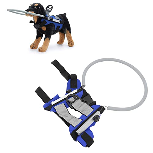 Gugxiom Verstellbarer Rollo-Halo für Hunde und Katzen mit Haustiergeschirr-Führungsgerät, Leicht und Schützend, Rot, Klein (Blue) von Gugxiom
