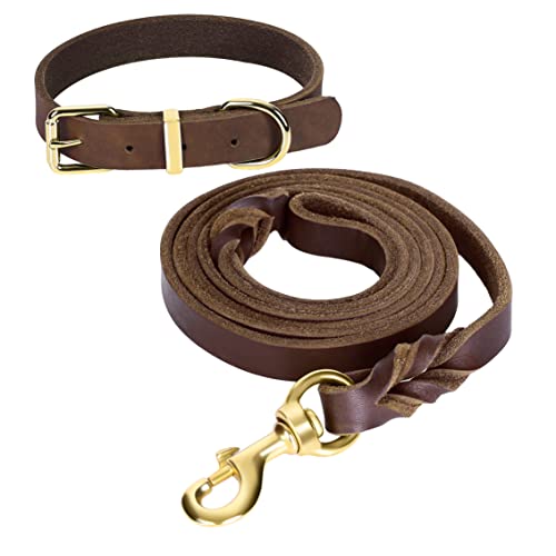 Guiding Star 1.8 m Leder-Hundeleine und Halsband-Set, weiches geflochtenes Leder, 1.8 m mit verstellbarem Hundehalsband, Set für kleine, mittelgroße und große Hunde von Guiding Star