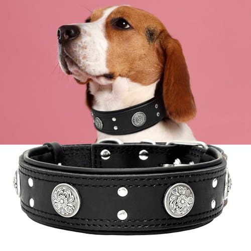 Guiding Star Hundehalsband, Leder, 5,1 cm breit, strapazierfähig, luxuriös und Nieten, Schwarz, 57,1–67,3 cm, für große Hunde von Guiding Star