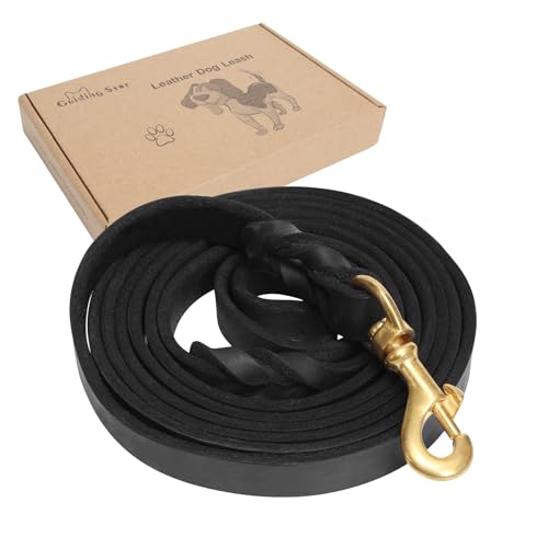 Guiding Star Hundeleine aus Leder, 1,8 m, weich, langlebig, echtes handgefertigt, geflochtenes Leder, strapazierfähig, robust, für große und mittelgroße Hunde Guiding Star Hundeleine aus Leder, 1,8 m, weich, langlebig, echtes handgefertigt, geflochtenes Leder, strapazierfähig, robust, für große und mittelgroße Hunde von Guiding Star