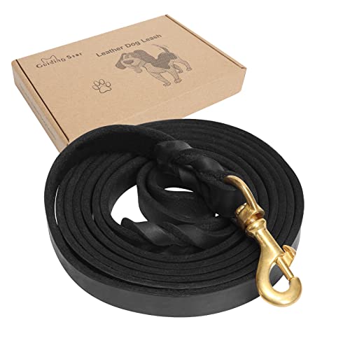 Guiding Star Leder-Hundeleine, 3 m, strapazierfähig, geflochtenes Leder, für Hundetraining, Spazierengehen, Laufen, weiche, langlebige, mittelgroße und kleine Hunde, Schwarz Guiding Star Leder-Hundeleine, 3 m, strapazierfähig, geflochtenes Leder, für Hundetraining, Spazierengehen, Laufen, weiche, langlebige, mittelgroße und kleine Hunde, Schwarz von Guiding Star