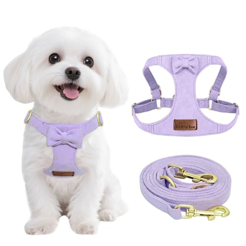 Guiding Star Welpengeschirr und Leine, kein Ziehen, leicht, weich, verstellbar, ausbruchsicher, Haustiergeschirr, Weste mit Multifunktions-Hundeleine für Welpen, kleine Hunde, Violett, XS von Guiding Star