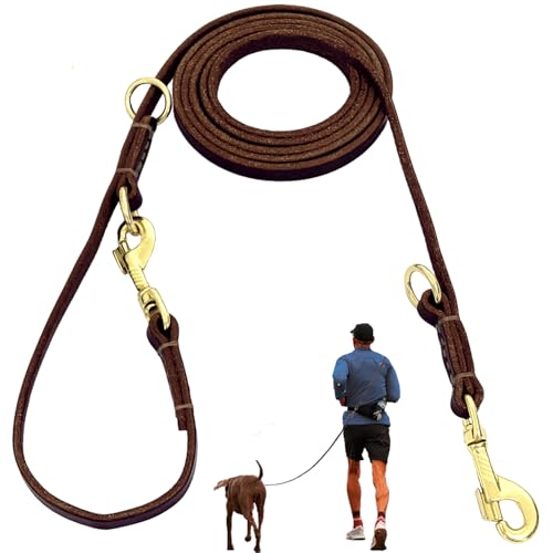 Hundeleine aus Leder, 2,4 m, für kleine und mittelgroße Hunde, luxuriöse Welpenleine aus Leder, multifunktional und freihändig, langlebig, doppelt genäht, zum Gehen und Laufen, Braun Hundeleine aus Leder, 2,4 m, für kleine und mittelgroße Hunde, luxuriöse Welpenleine aus Leder, multifunktional und freihändig, langlebig, doppelt genäht, zum Gehen und Laufen, Braun von Guiding Star
