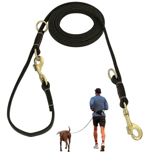 Hundeleine aus Leder, 2,4 m, für kleine und mittelgroße Hunde, luxuriöse Welpenleine aus Leder mit Multifunktions- und freihändiger Passform, langlebig, doppelt genäht, zum Gehen und Laufen, Schwarz Hundeleine aus Leder, 2,4 m, für kleine und mittelgroße Hunde, luxuriöse Welpenleine aus Leder mit Multifunktions- und freihändiger Passform, langlebig, doppelt genäht, zum Gehen und Laufen, Schwarz von Guiding Star