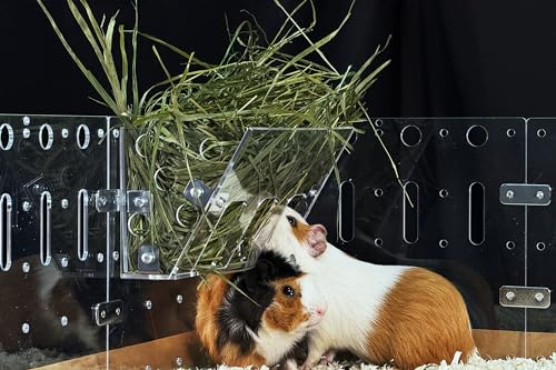 GuineaLoft™ Heu-Futterstation - Der optimale Futterplatz für Kleintiere wie Meerschweinchen, Kaninchen und Chinchillas. Von erfahrenen Besitzern entwickelt, um Effizienz und Gesundheit zu fördern. von GuineaLoft